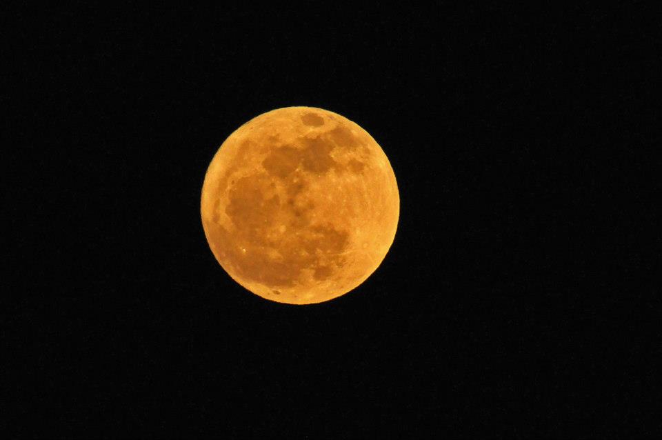 full moon by Hal Roth