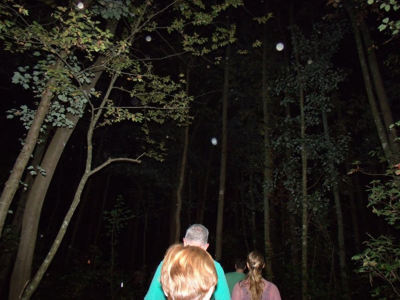 Guests walk into the Pocomoke Forest under a full moon